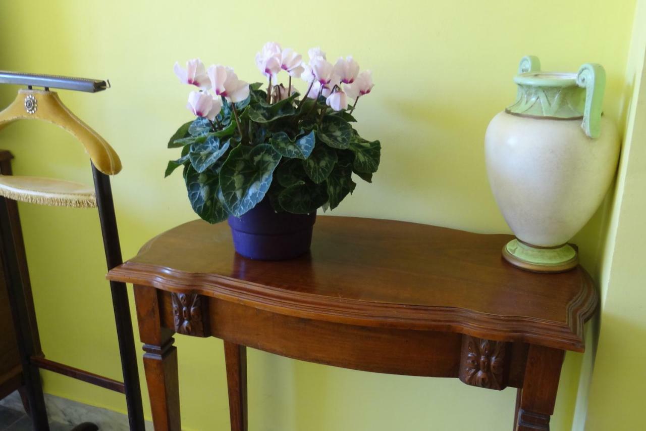 Apartament Chambre Ajaccio Ajaccio  Zewnętrze zdjęcie
